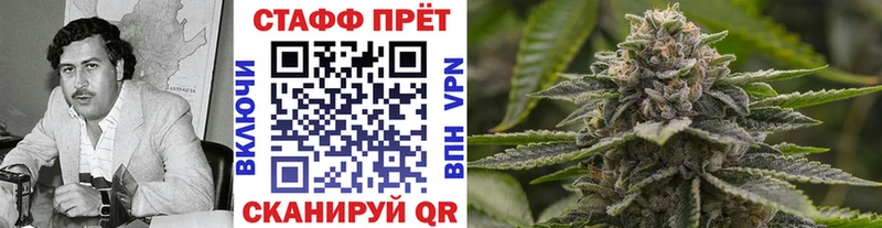 Виды наркоты Медвежьегорск ГАШ  Экстази  кракен tor  Меф  СОЛЬ  МДМА  Галлюциногенные грибы 