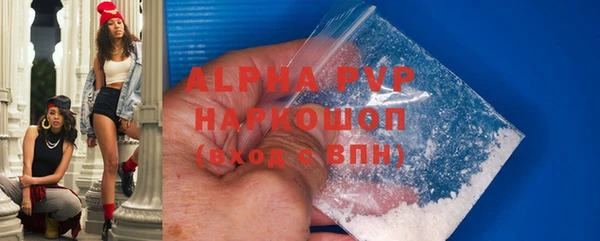 стаф Аркадак