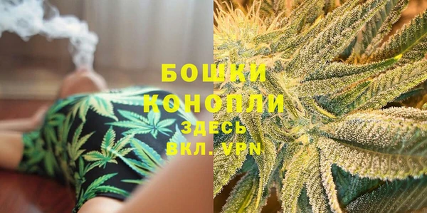 стаф Аркадак
