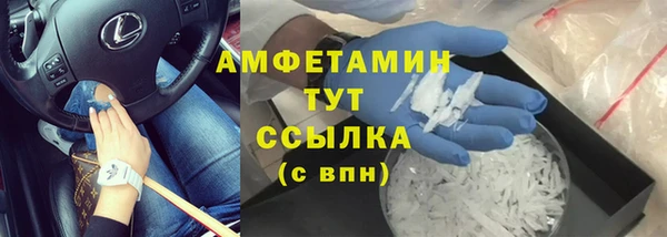 стаф Аркадак