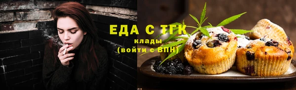 стаф Аркадак