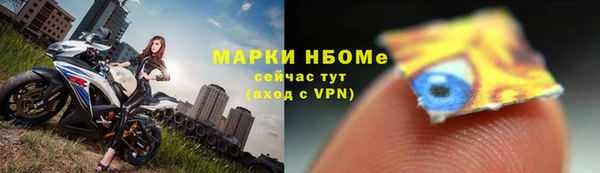 стаф Аркадак