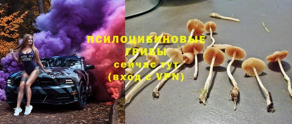 стаф Аркадак