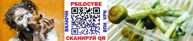 блэк спрут вход  Медвежьегорск  Псилоцибиновые грибы Magic Shrooms  закладки 