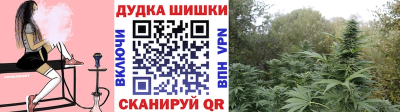 Бошки марихуана OG Kush Медвежьегорск